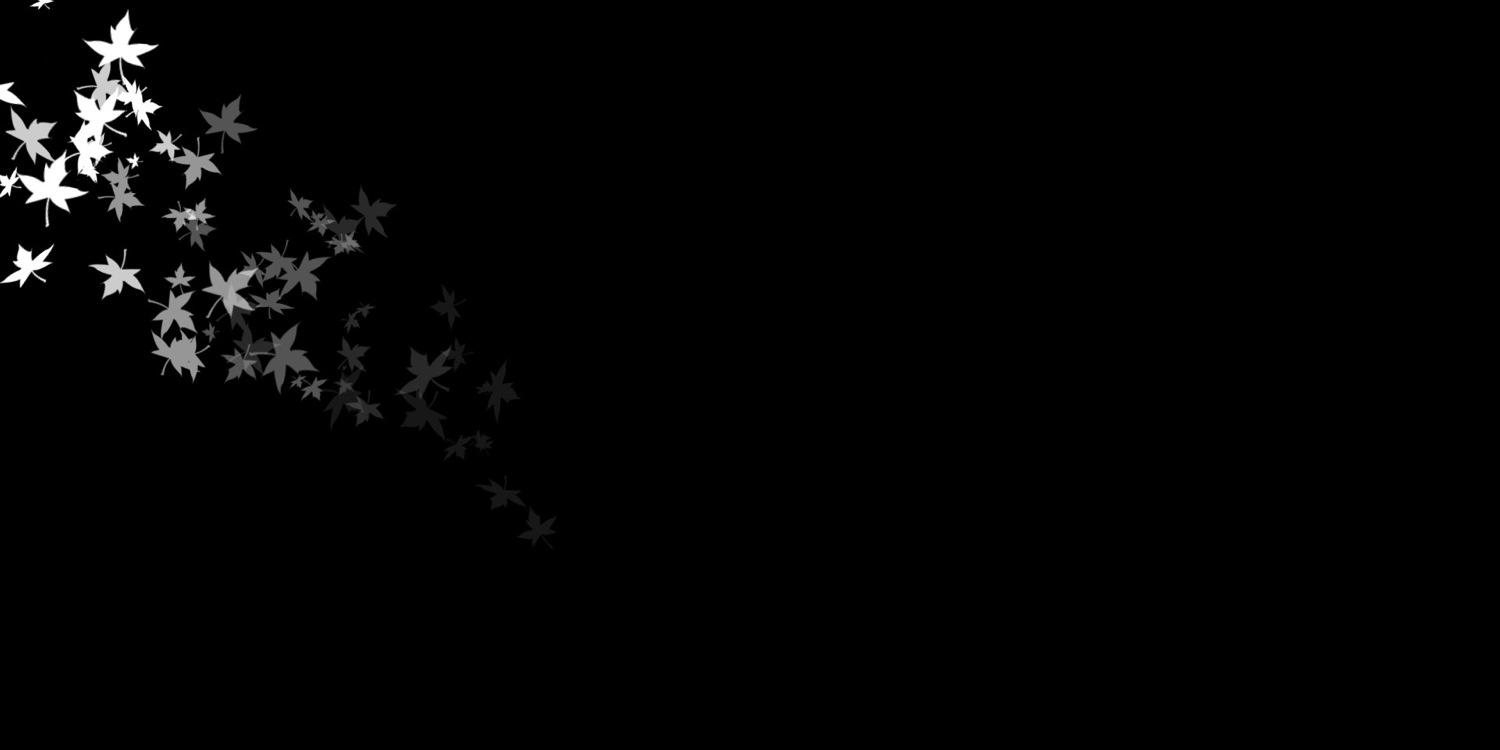 Lo0oka_4's profile banner image