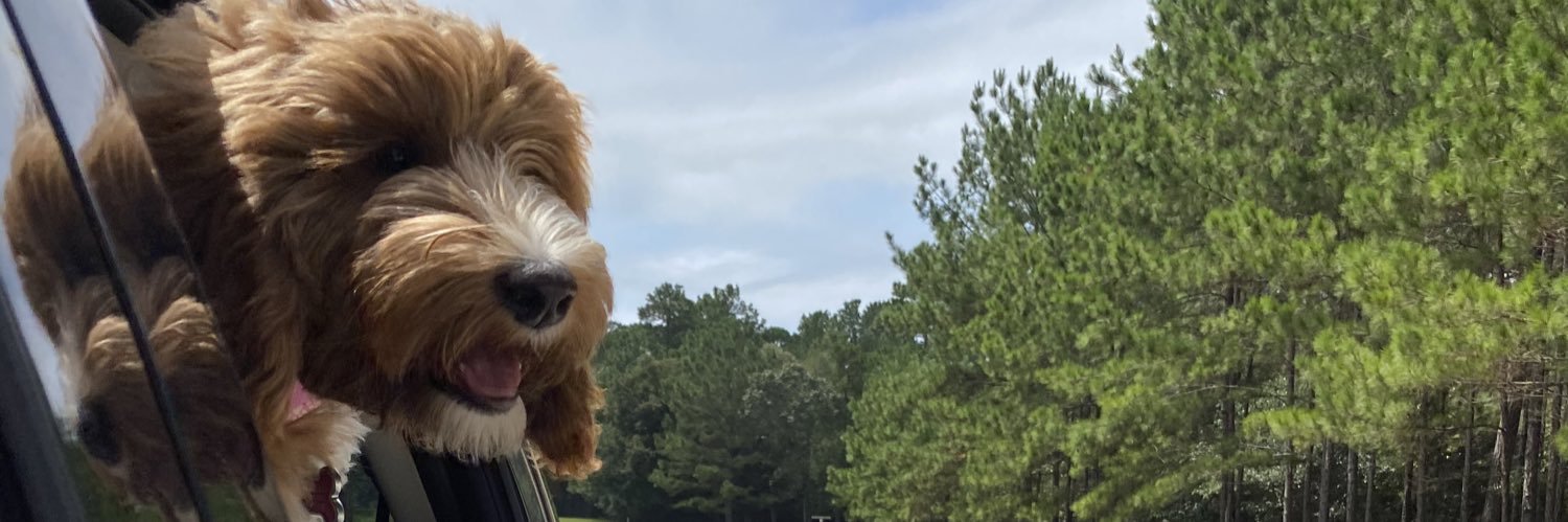 kedrabrown's profile banner image