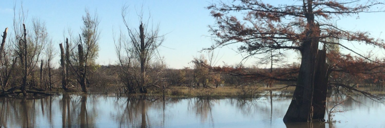 CraigPerloff's profile banner image