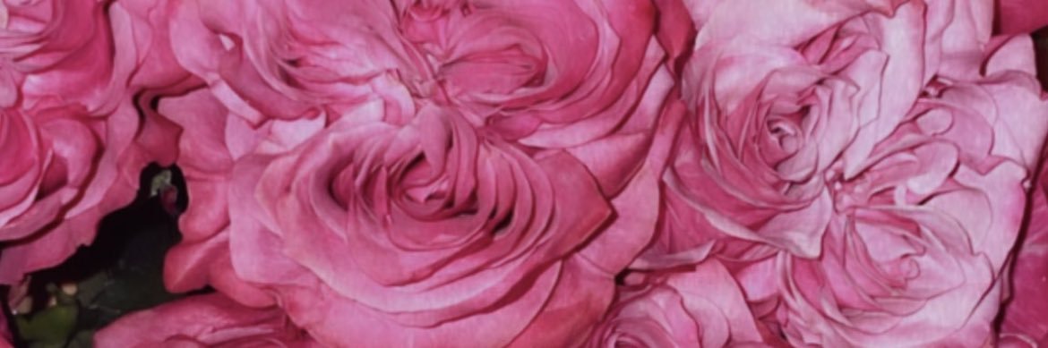 big mama 🍦 banner