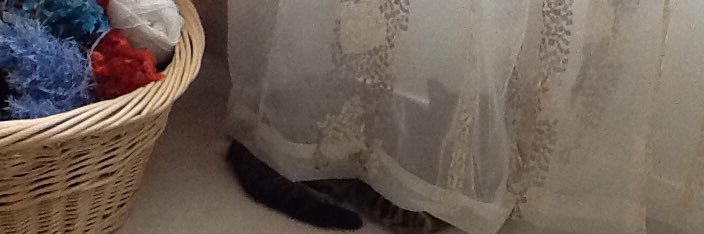 fastjo🇨🇦 banner