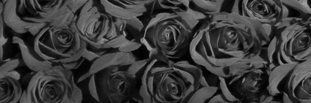 emily_brend's profile banner image