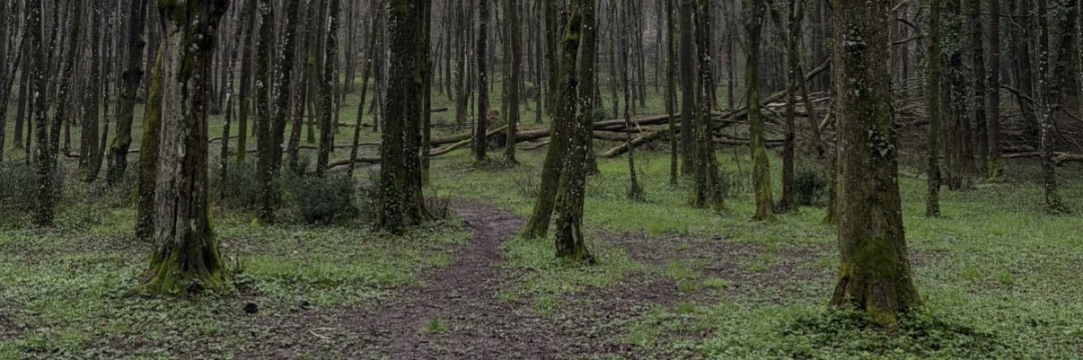blatzoc's profile banner image