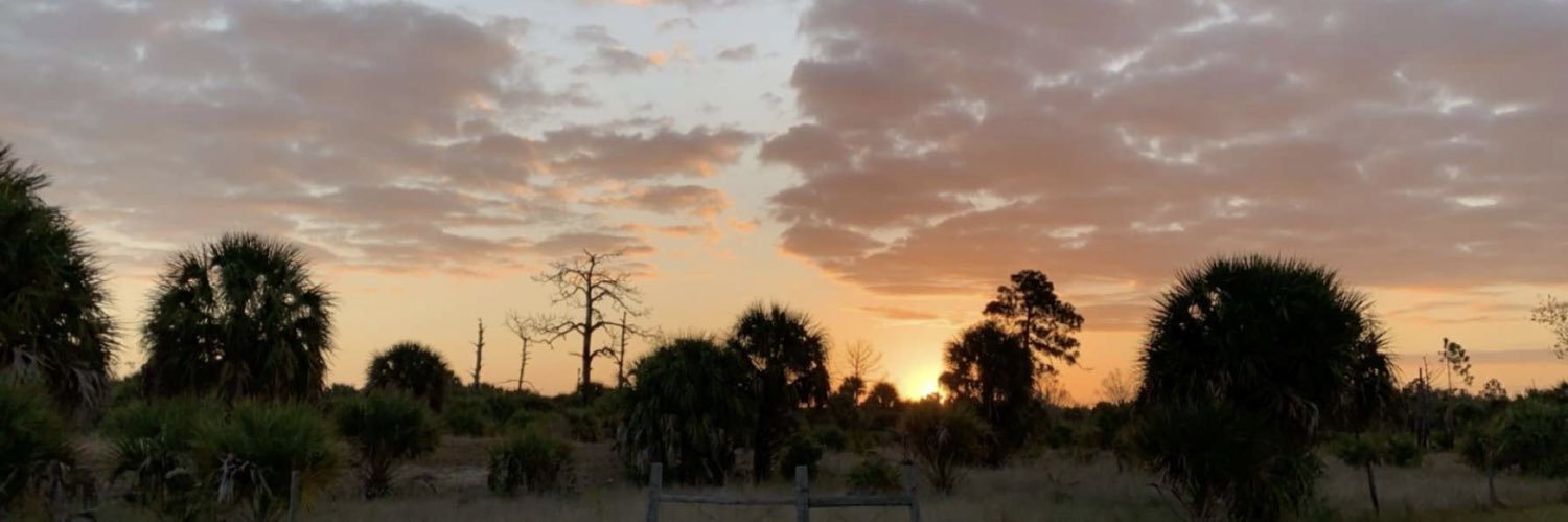 Chrissy Demaris banner