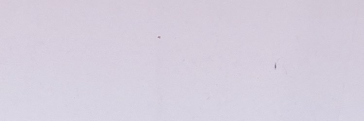 meg_h3's profile banner image
