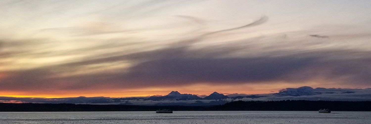 Michael Preston banner