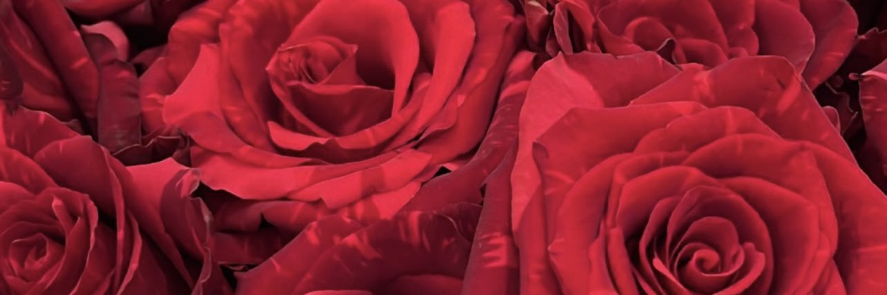 Ariohnna_Alexis's profile banner image