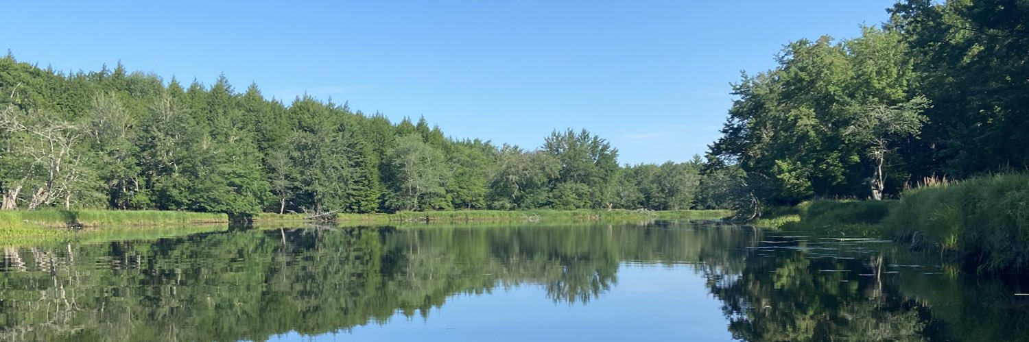 mackaylc's profile banner image