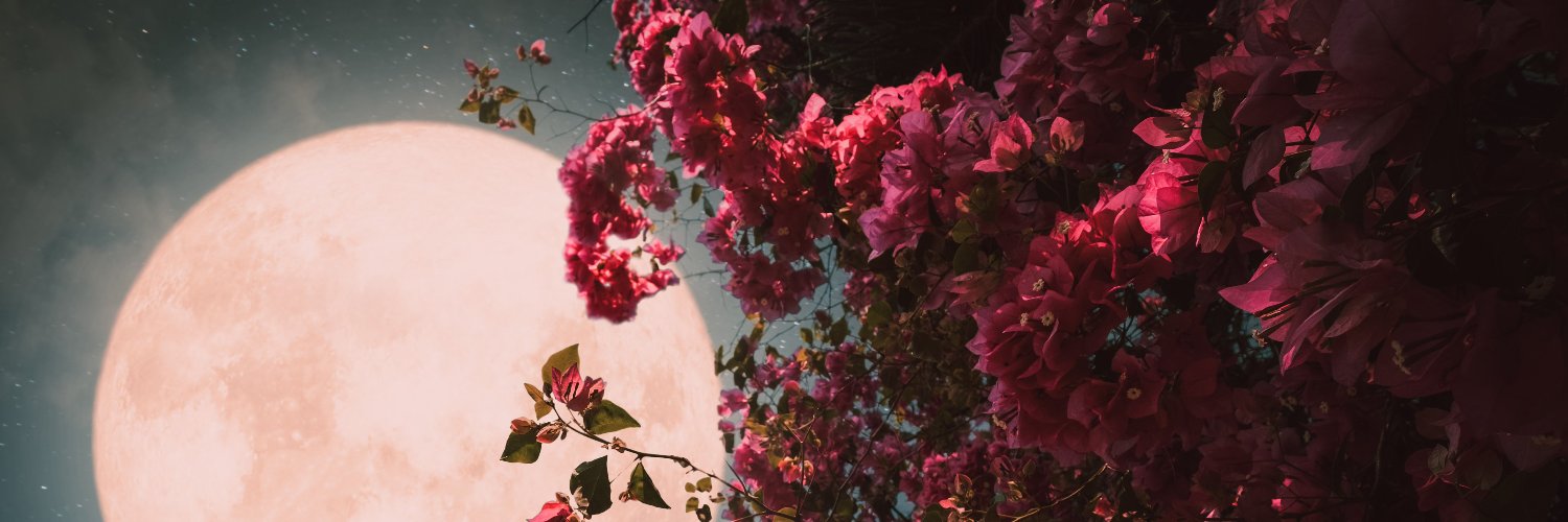 one_aylu's profile banner image