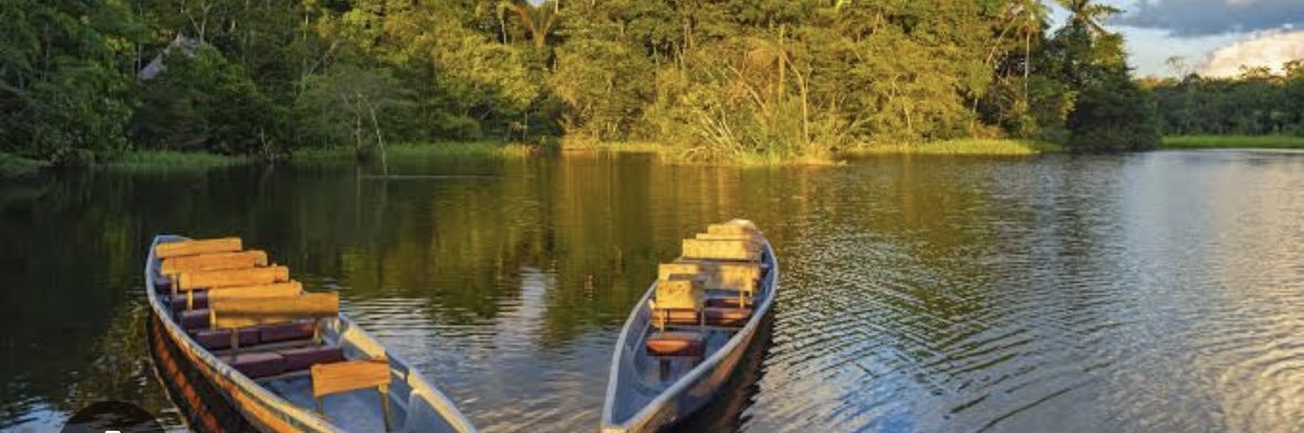 Cris 🇨🇴🇧🇷🏹🪇 banner