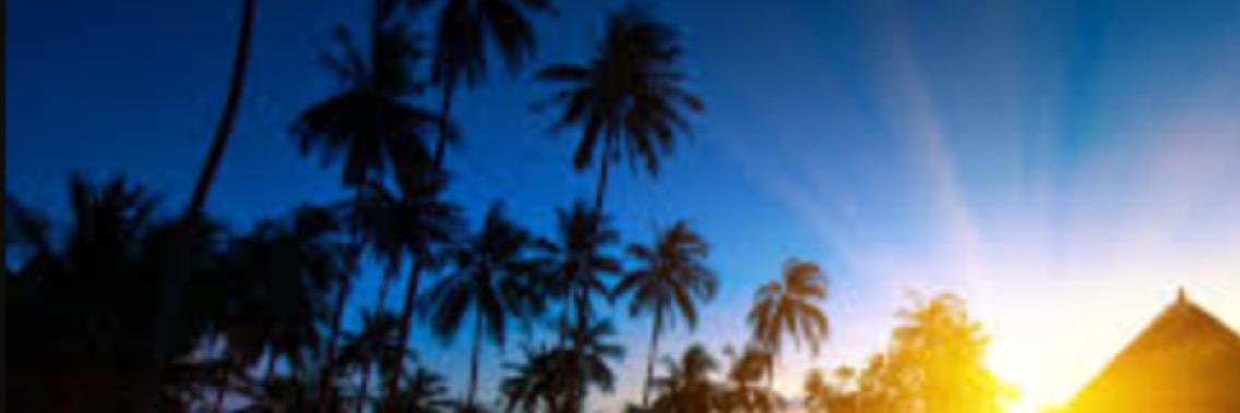 Abdullah Neimatallah banner