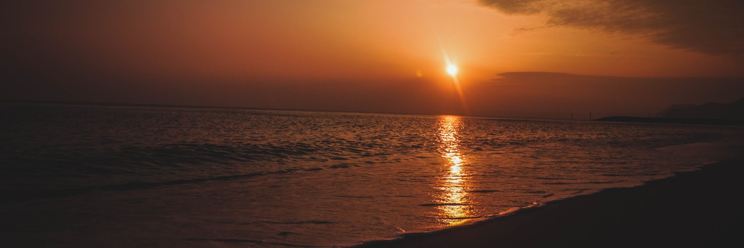 stonedassmonkey banner