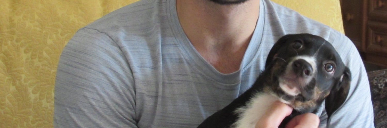 JoeD22's profile banner image
