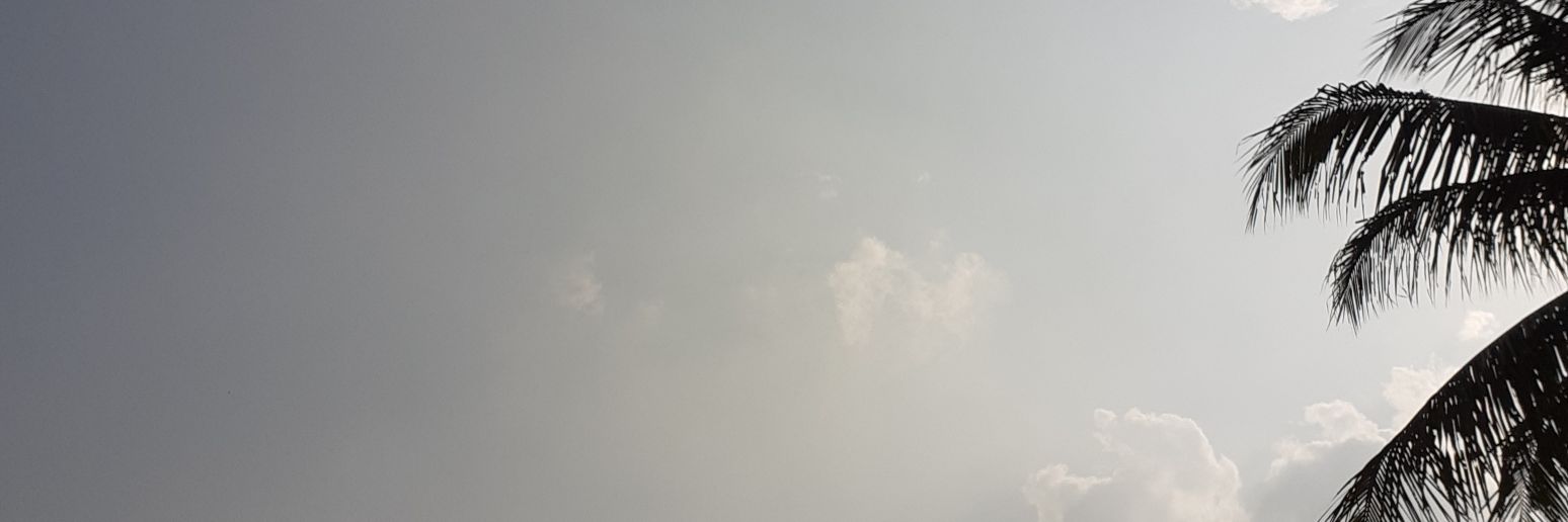 sicanih's profile banner image