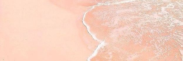 wallflower7891's profile banner image