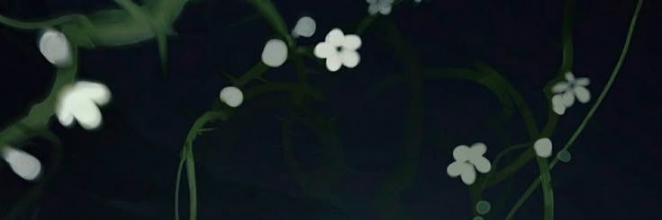 лицеистка banner