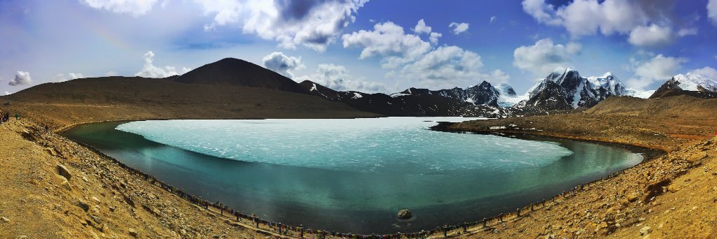 The Quirky wanderer banner