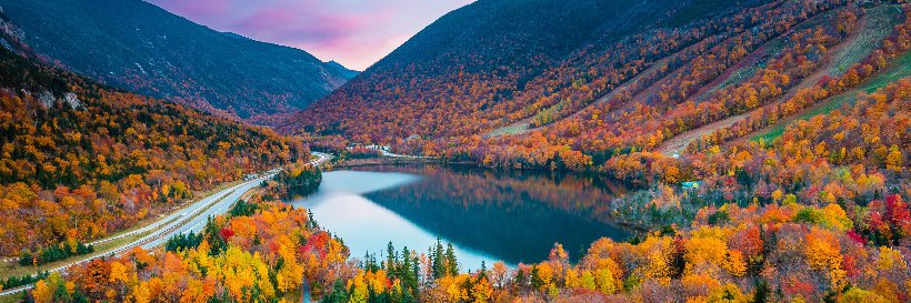 NH Disability and Health Program banner