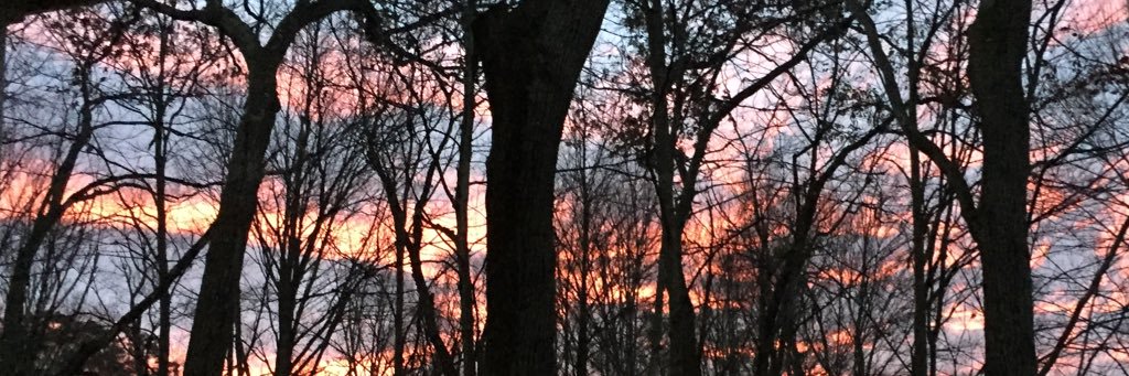 JaredVolz's profile banner image