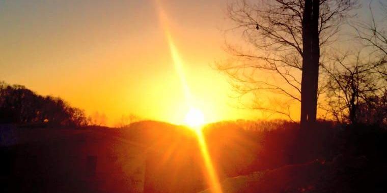 Firecraker6110's profile banner image