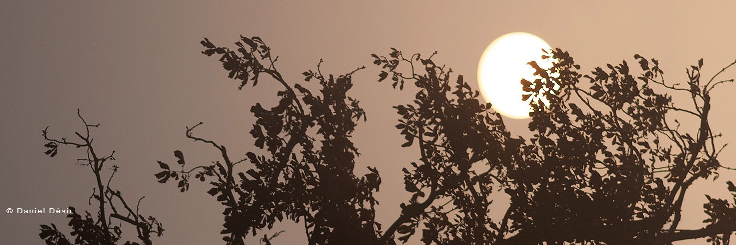 dd_photographe's profile banner image