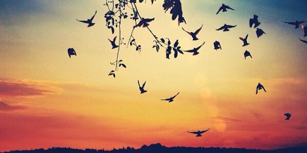 erikagnes_'s profile banner image