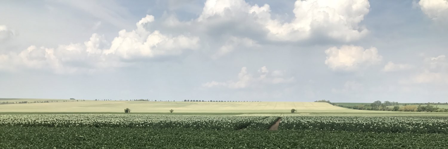 Lilith_WtH's profile banner image