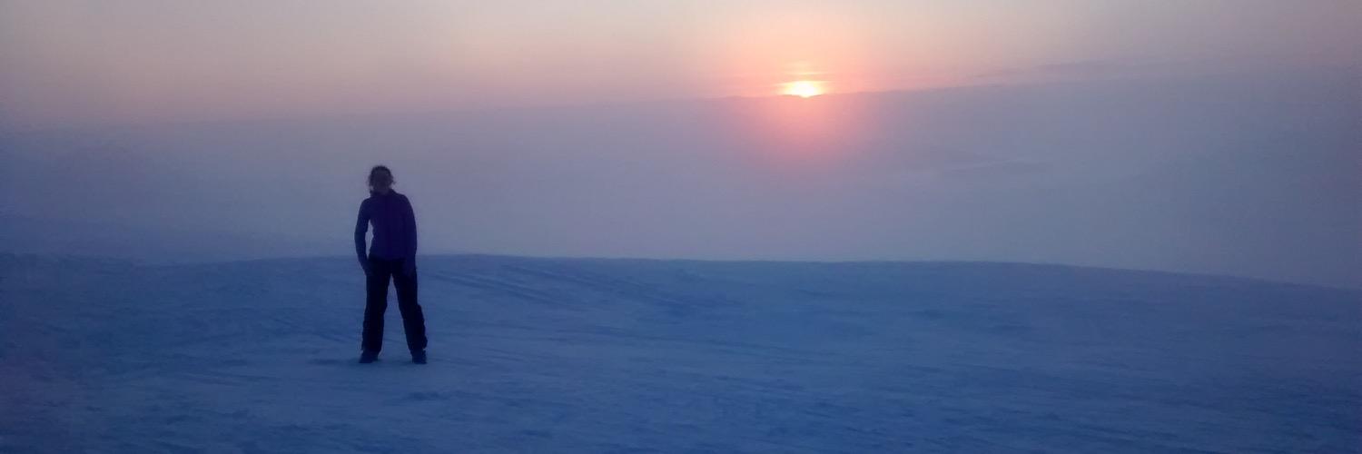 lillimittner's profile banner image
