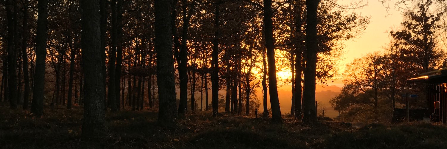 Samuel Jacobsen banner