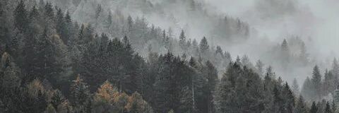 vermu__'s profile banner image