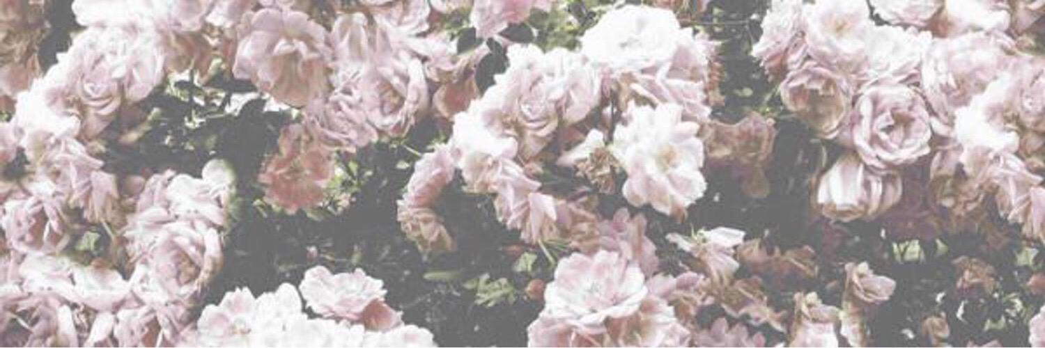 lost_swan's profile banner image