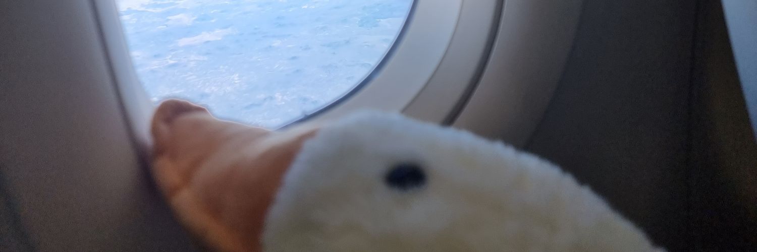 LauraaGlez's profile banner image