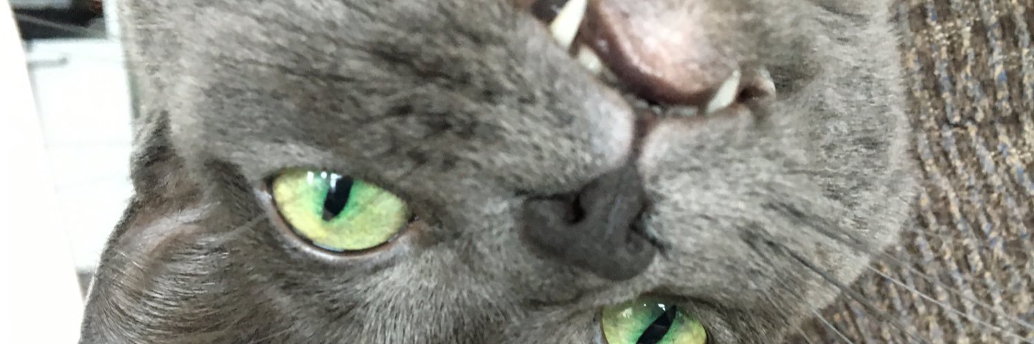 LyzLuhdad's profile banner image