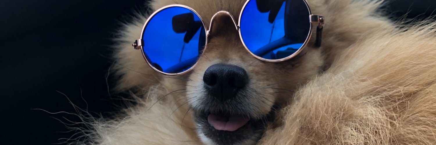 DlrmAgnes's profile banner image