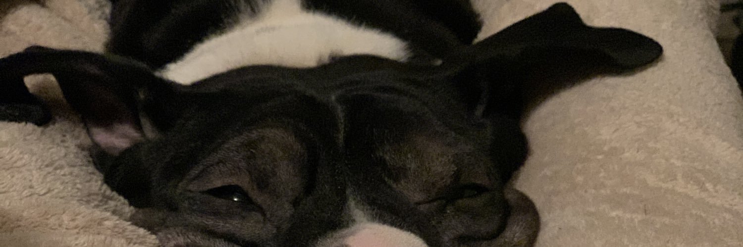 bmaglll's profile banner image