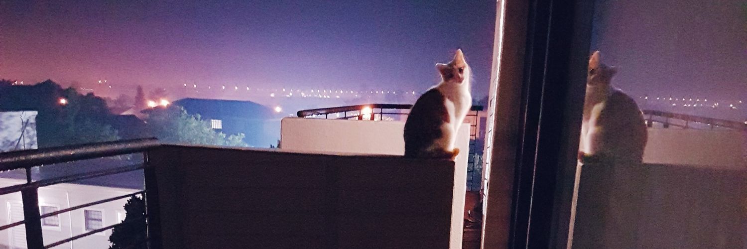 LittleLambii's profile banner image