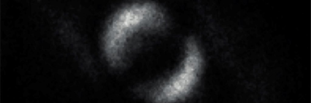 graceholtmann's profile banner image