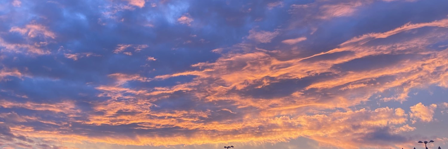 indiawoods___'s profile banner image