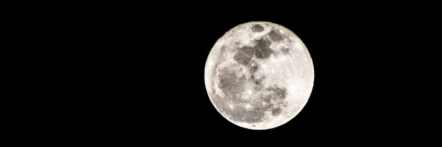 mordimpy's profile banner image