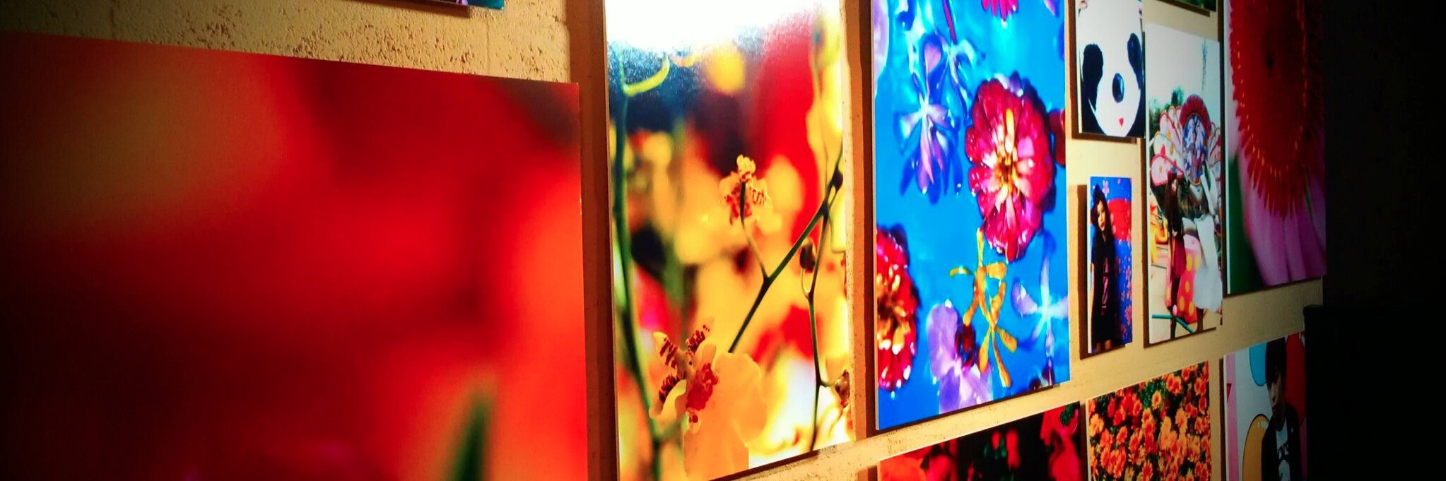 lin_krystal's profile banner image