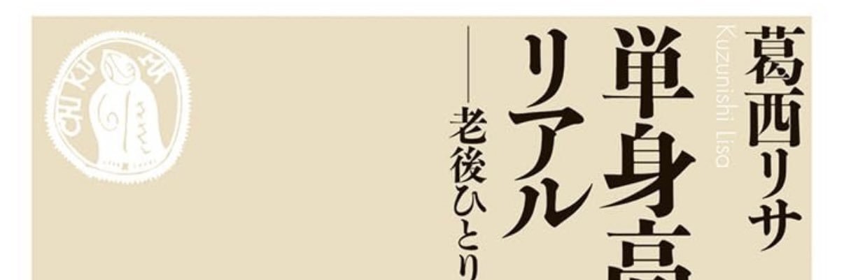 葛西リサ くずにしりさ lisa kuzknishi 리사 구주니시 banner