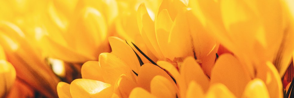 Care_Connect's profile banner image