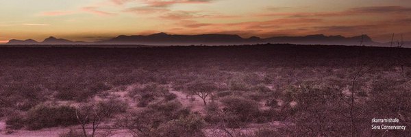 skarramishale Profile Banner