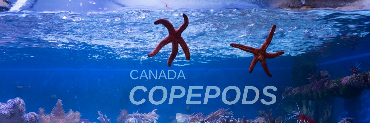 CanadaCopepods's profile banner image