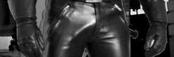 nyc_pup's profile banner image