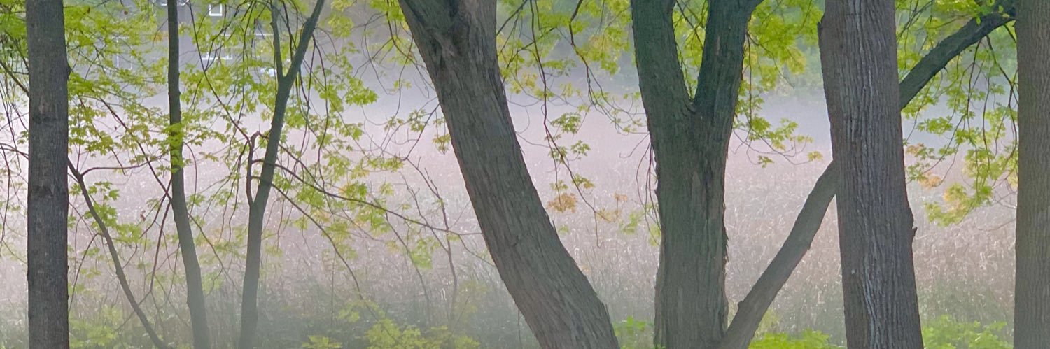 thebenning5's profile banner image