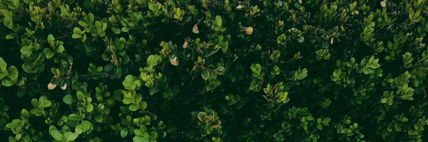 dontmgc's profile banner image