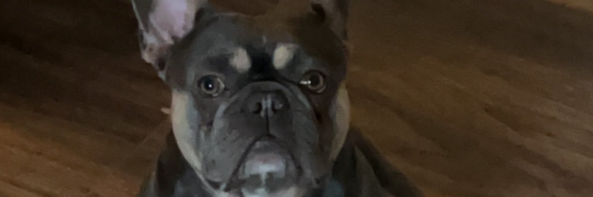 CJonesy991's profile banner image