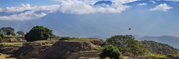 roberbenavide's profile banner image
