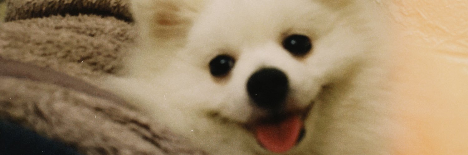 _caarolmuniz's profile banner image